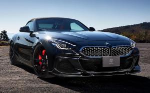 BMW Z4 sDrive20i M Sport by 3D Design (G29) '2019